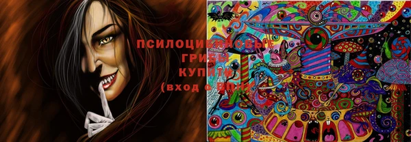 хмурый Алексеевка