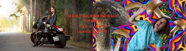 хмурый Алексеевка